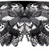 Butterfly Black Mariposa Shawl