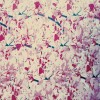 Cherry Sakura Printed Rosella